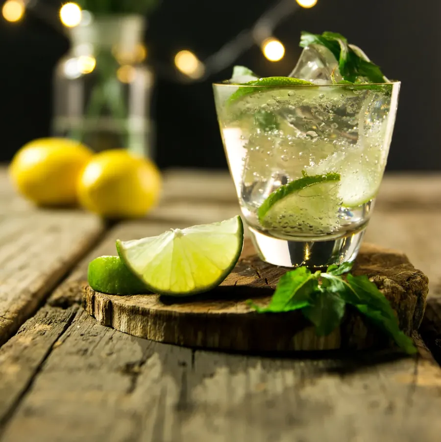 A gin and tonic with fresh lime and mint